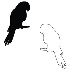 Birds silhouette, macaws vector, Birds illustration, silhouette, set icon, goose silhouette, kingfisher