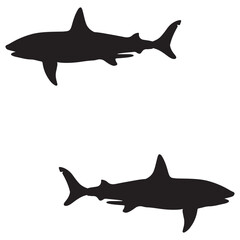 Shark silhouette, Shark illustration, silhouette, Shark vector, set icon, silhouette, Shark