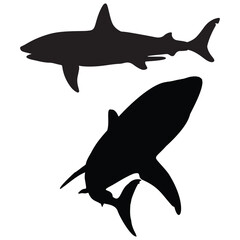 Shark silhouette, Shark illustration, silhouette, Shark vector, set icon, silhouette, Shark