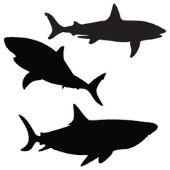 Shark silhouette, Shark illustration, silhouette, Shark vector, set icon, silhouette, Shark