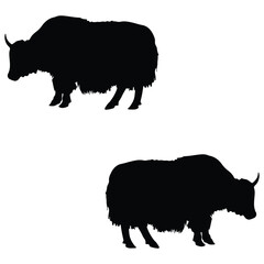 Yak silhouette, Yak illustration, silhouette, Yak vector, set icon, silhouette, Yak