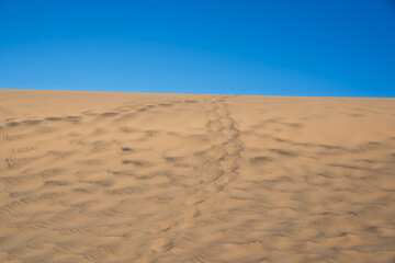 Dunes of Maspalomas, Gran Canaria, Spain.