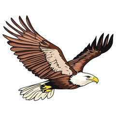 Obraz premium eagle, animal, vector, transparent background, beak, wildlife, nature, predator, raptor, isolated, feather, feathers, bird of prey, symbol, hawk, freedom, wing, fly