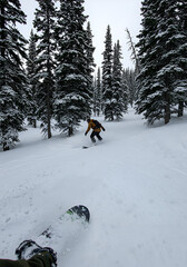 Snowboarder in a snowy forest