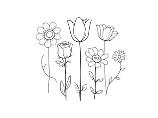 Detailed Blooming Fields Line Art for Floral and Nature Themes