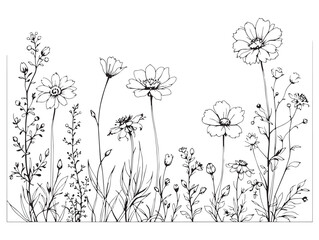Botanical Wildflower Border Line Art for Creative Designs