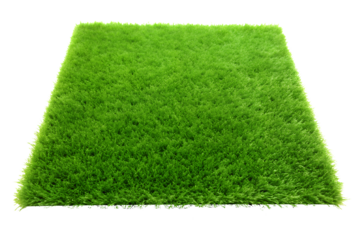 green grass carpet