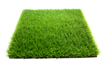 green grass carpet