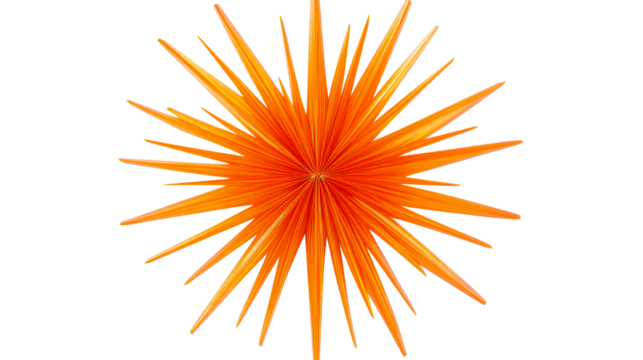 Radiant orange palm frond, tropical starburst foliage, cut out transparent