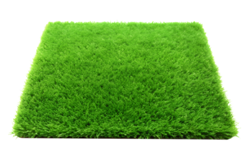 green grass carpet