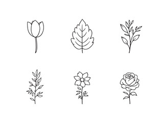 Elegant Botanical Garden Line Art for Creative Design Projects