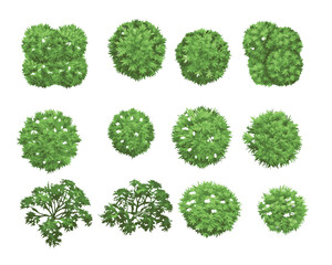 top-down view of  landscape plan and architecture layout drawing, a collection of various green shrubs and bushes,  mix of rounded, spiky, and irregular forms © DESIGN HUB