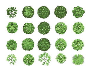 top-down view of  landscape plan and architecture layout drawing, a collection of various green shrubs and bushes,  mix of rounded, spiky, and irregular forms © PNGHUB