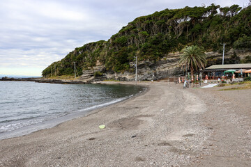 ヤシの木の生える、一年中営業しているおしゃれなビーチ。
水平線に遠く富士山が見えている。
荒井浜海岸三浦市神奈川県-2024
