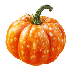 Speckled orange pumpkin with green stem, isolated, cut out transparent