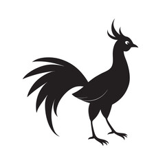 Fototapeta premium Wilson Bird Of Paradise Courtship Pose Silhouette 