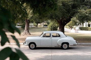 Fototapeta premium vintage car parked in serene natural setting surrounded by lush greenery and soft sunlight filtering through leaves