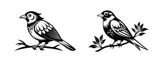 Fototapeta premium Silhouette vector of a bird perched on a branch, black and white, clean design on white background. 
