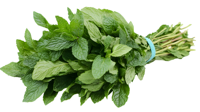 A fresh bunch of mint leaves with vibrant green color and textured surfaces, isolated on white background