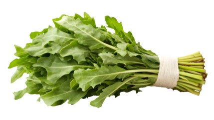 A fresh bundle of dandelion greens with their unique, jagged edges, isolated on white background