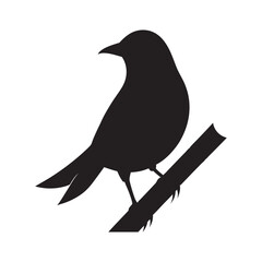 Bali Myna Perched On Bamboo Branch Silhouette