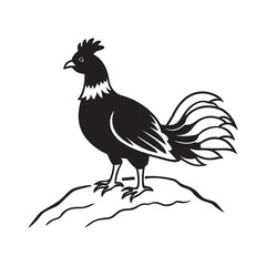 Andean Cock Of The Rock Perched On Cliff Silhouette