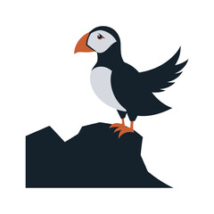 Atlantic Puffin Standing On Cliff Edge Silhouette