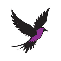Lilac Breasted Roller Mid Flight With Wings Extended