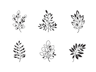 Minimal Eucalyptus Line Art Perfect for Modern Design Projects