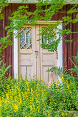 Wooden door on a red croft with yellow flowers in the overgrown garden © Lars Johansson