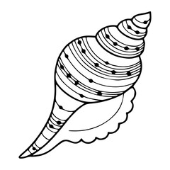 conch shell outline vector graphic