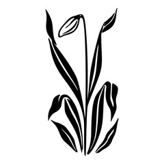 Matisse inspired organic plant vector
