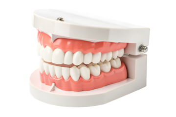 A dentist uses various dental instruments for oral care and hygiene of teeth and gums