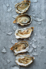 open fresh oysters stacked in a row