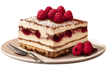 Raspberry cake on white plate