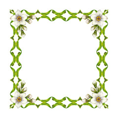 Watercolor floral frame with green vine, leaves, white flowers. Square frame template. Elegant and natural style, perfect for wedding invitations, greeting cards, quotes, or eco-friendly branding