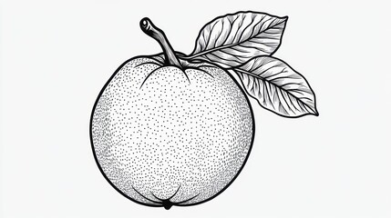 Hand-drawn apple illustration with leaves