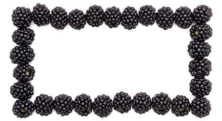 Fresh blackberries arranged as frame element for nutrition or culinary projects