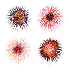 Colorful Fireworks Display on Pristine Transparent Background, Isolated on Transparent Background