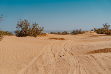 Vehicle tracks winding through the sand dunes of the Sahara Desert in Morocco