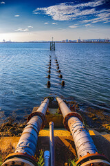 Teesmouth International Nature Reserve Hartlepool sunrise