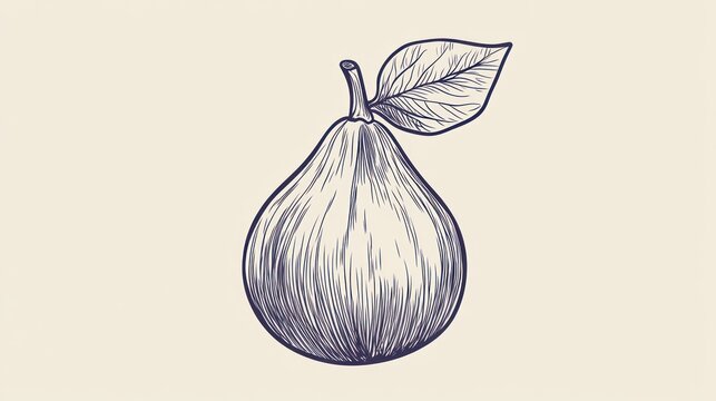 recommend clip art: Vintage illustration of a fig fruit
