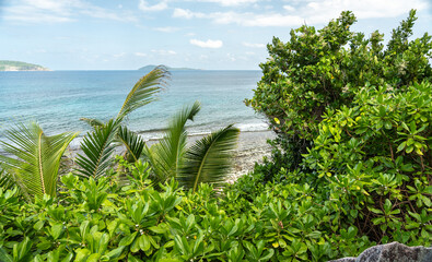Rough hiking trail with granite boulders, dense tropical vegetation, and steep uneven surface