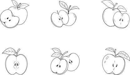 Apple with Leaves Illustration
