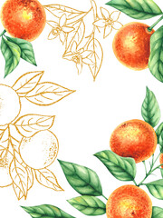 Tangerines blossom frame. Watercolor citrus fruits mandarin for wedding, holiday, greeting products. Mandarin isolated illustration