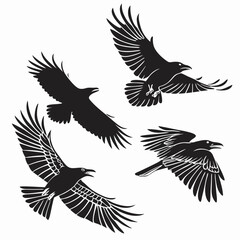 Obraz premium Majestic Ravens in Flight Black Bird Silhouette Art Tattoo Design Vector Illustration Wingspan Graphic