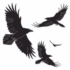 Obraz premium Majestic Ravens in Flight Black Bird Silhouette Wings Spread Soaring Nature Wildlife Avian Art Dark Gothic Mystery