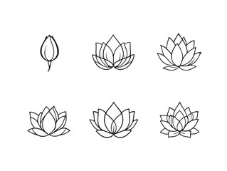 Simple Lotus Linework Design for Minimalist Art Collection