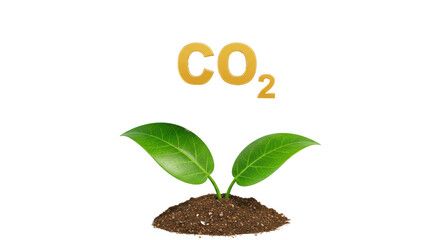 Isolated CO2 Symbol Above Plant Sprout in Soil