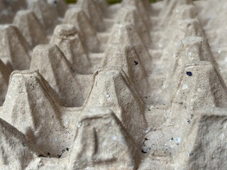 Used egg storage in Focus